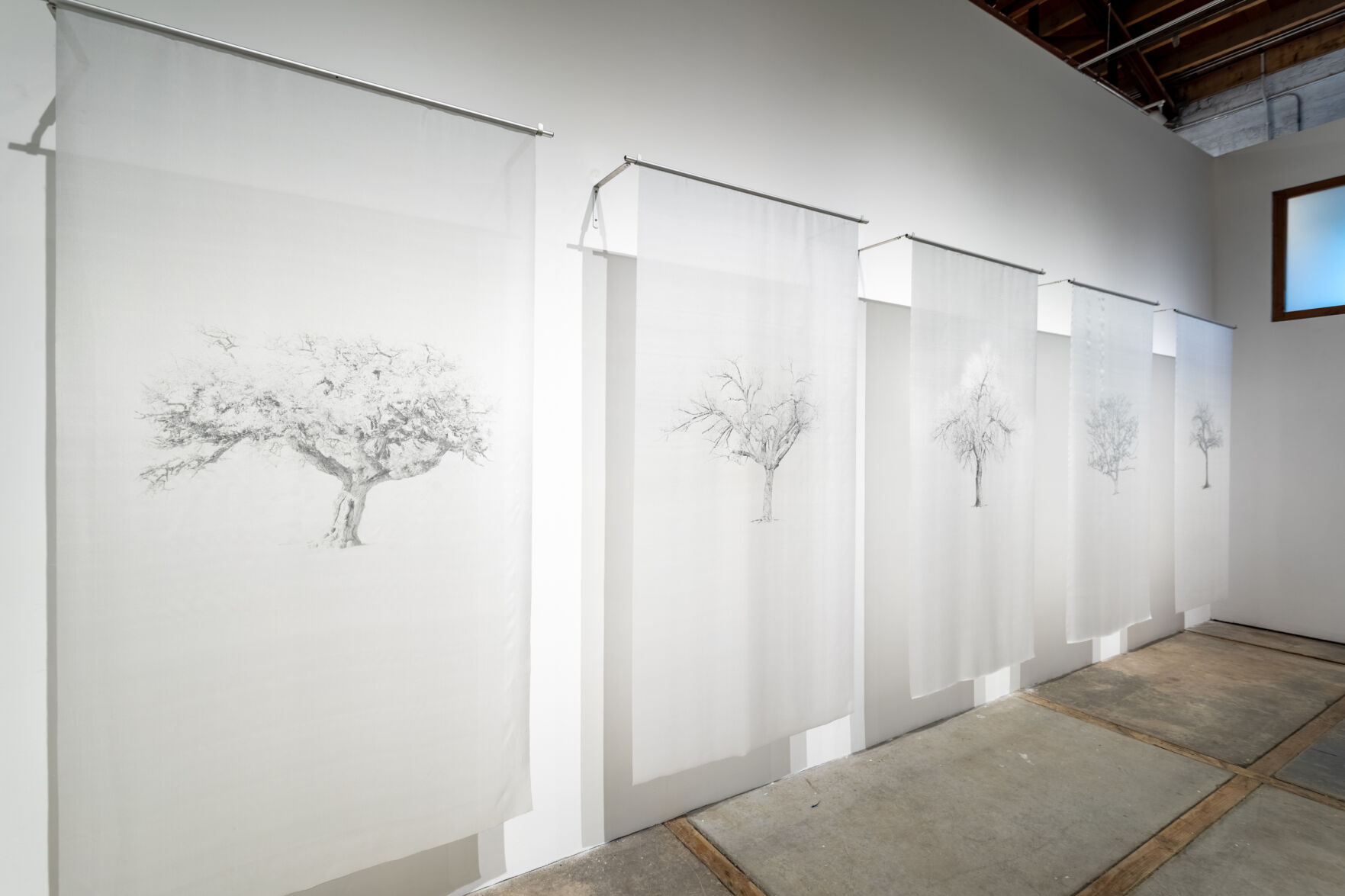 More than meets the eye: ‘Marietta Patricia Leis: Sense Memories’